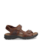 Rustic Brown
