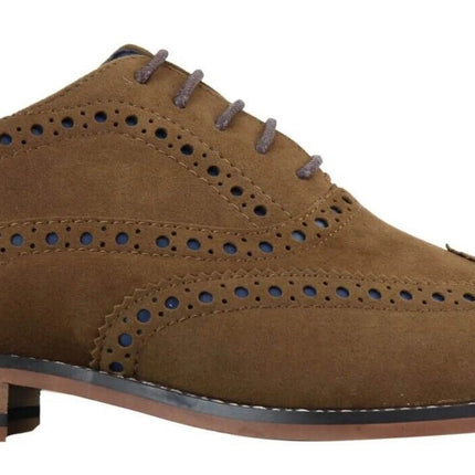 Mens Classic Oxford Brogue Shoes In Tan/Navy Suede
