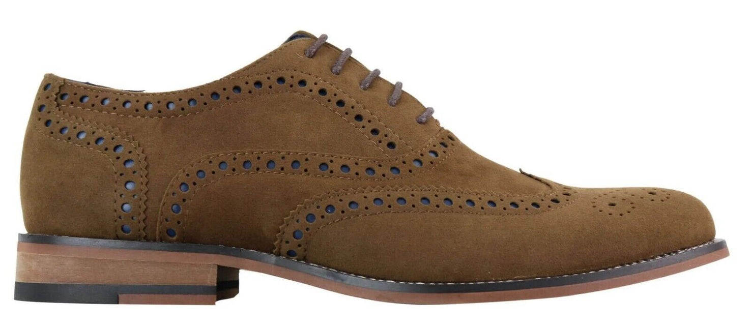 Mens Classic Oxford Brogue Shoes In Tan/Navy Suede