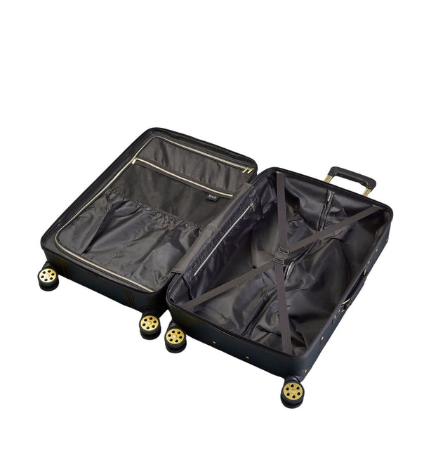 Vintage Hard Shell  Luggage Trunk Suitcase Set