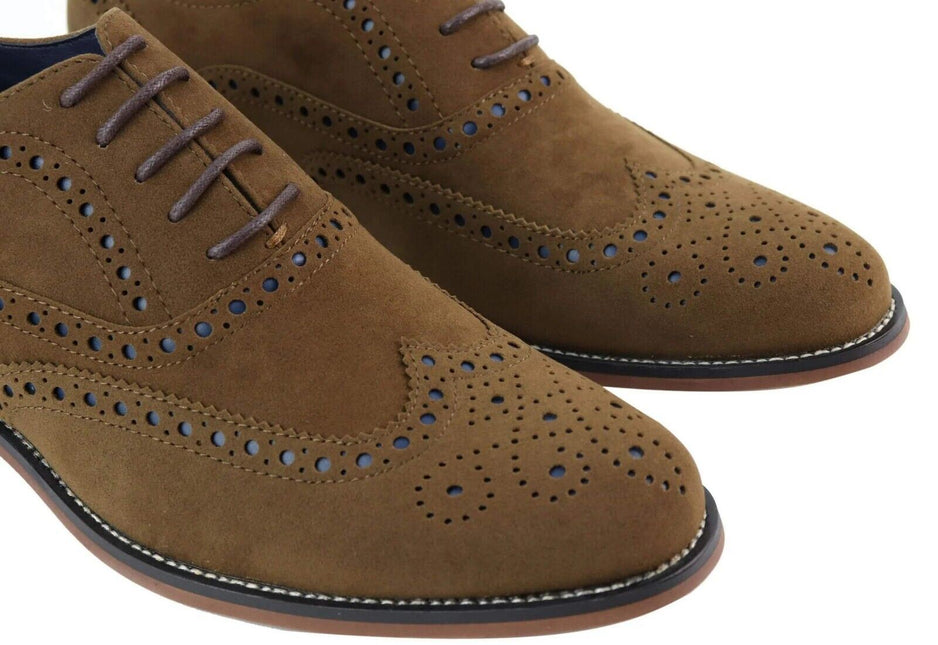 Mens Classic Oxford Brogue Shoes In Tan/Navy Suede