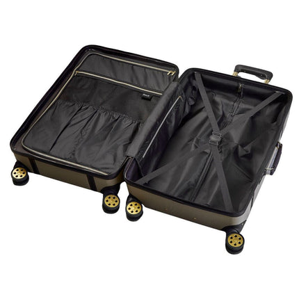 Vintage Hard Shell  Luggage Trunk Suitcase Set