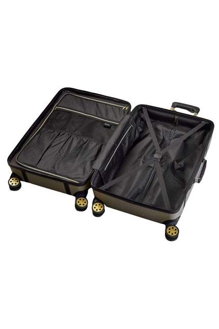 Vintage Hard Shell  Luggage Trunk Suitcase Set