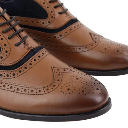 Mens Retro Oxford Navy Suede Brogue Shoes In Tan Leather