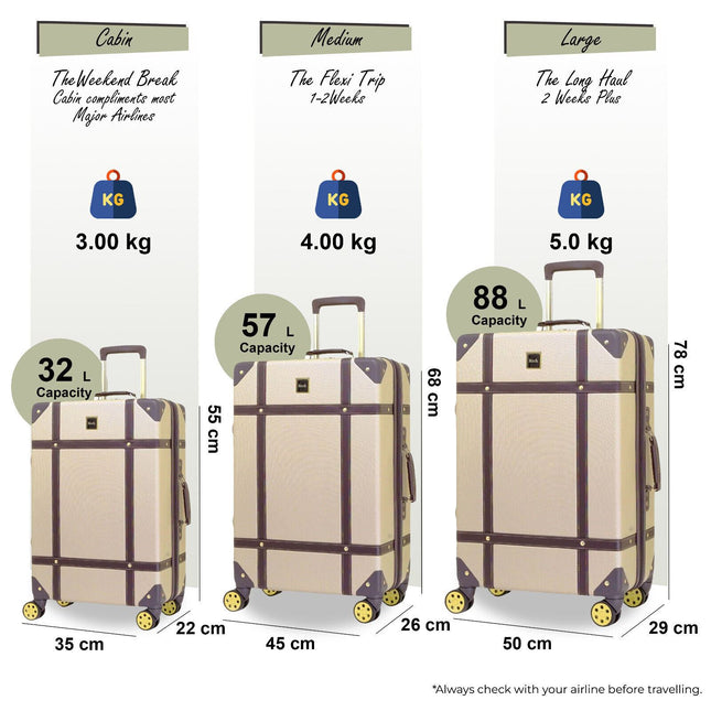 Vintage Hard Shell  Luggage Trunk Suitcase Set